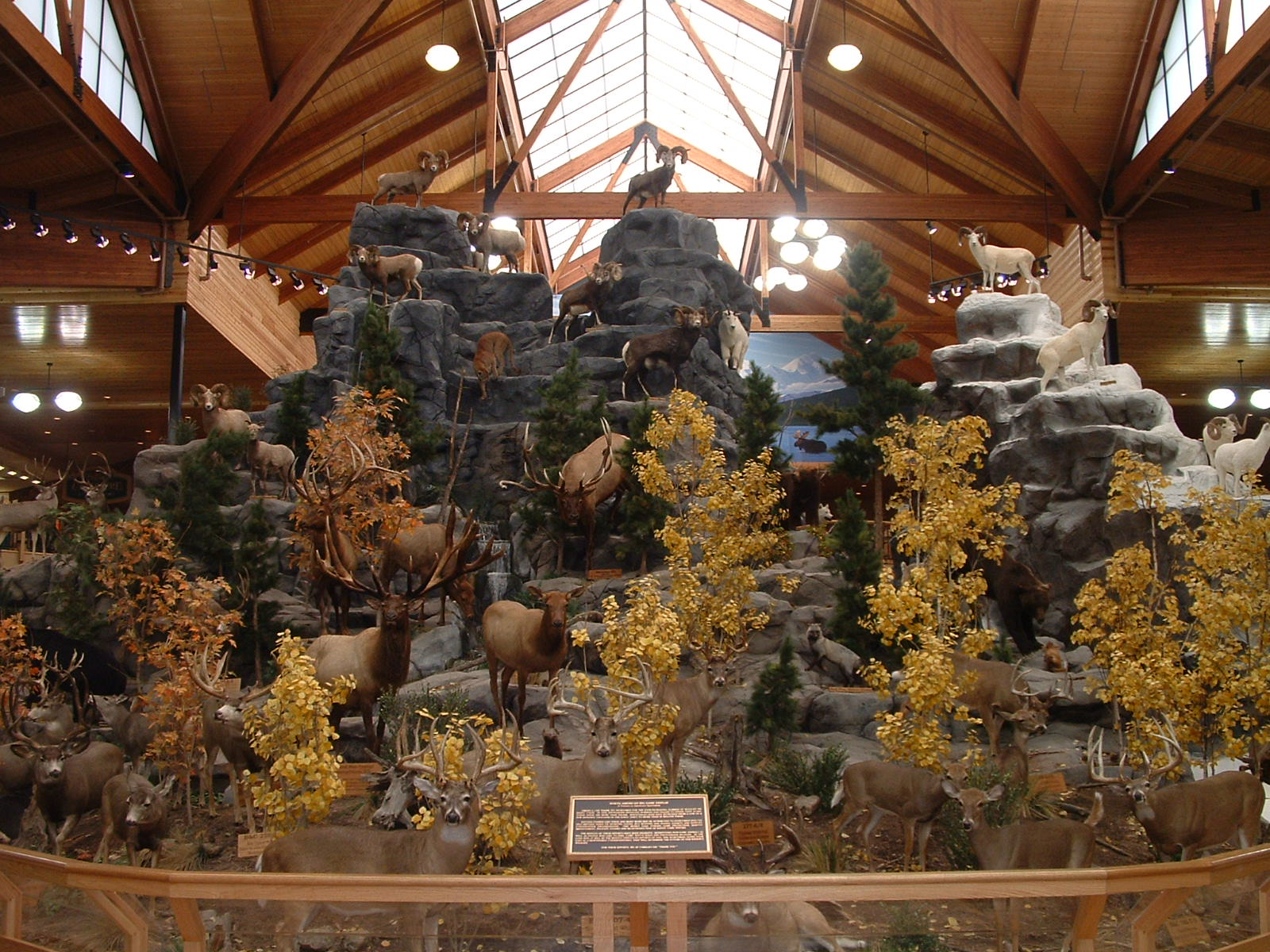 Cabela's Retail Stores Barton Associates