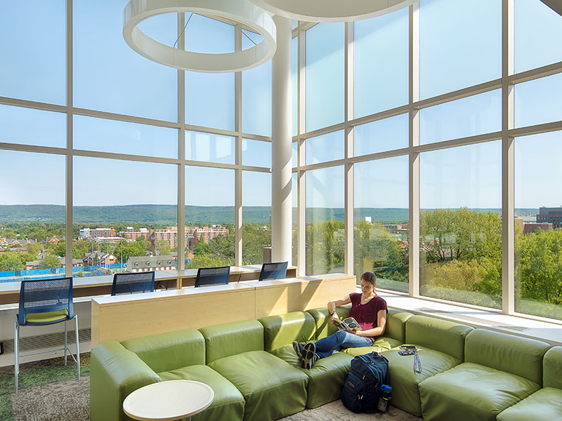 Student studying with natural light in East Halls at Penn State