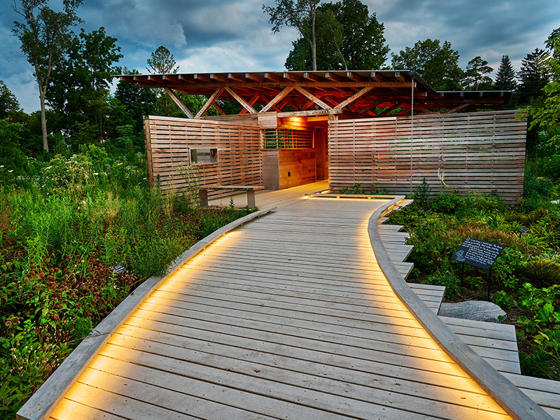 Illuminated boardwalk leading to garden structure in the expanded Pollinator and Bird Garden at The Arboretum at Penn State