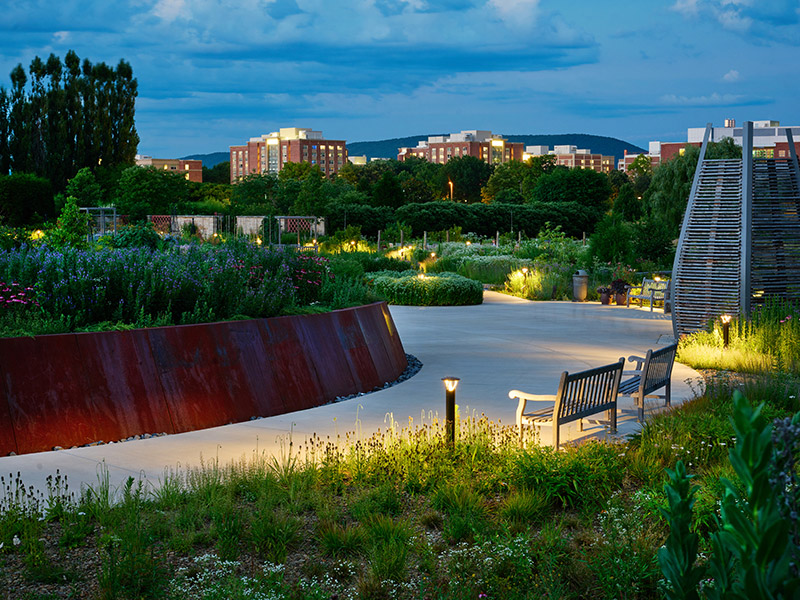 Illuminated pedestrian walkway in the expanded Pollinator and Bird Garden at The Arboretum at Penn State
