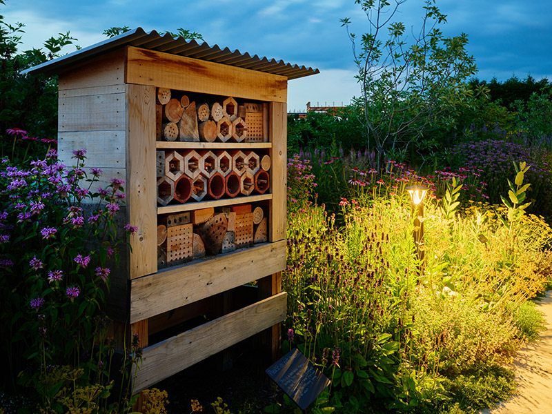 Pollinator habitat structure surrounded by native plantings in the expanded garden at The Arboretum at Penn State